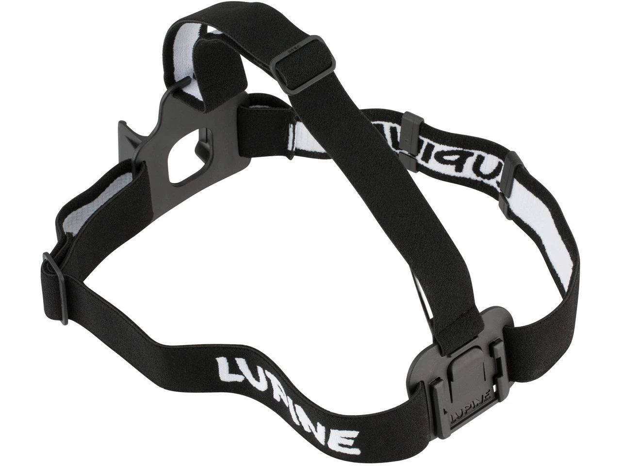 Lupine Stirnband FrontClick Für Piko / Blika – Bild 2
